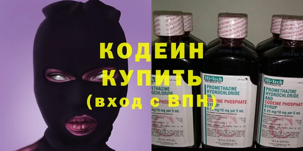 сатива Инта