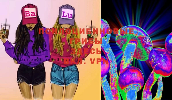 дживик Иннополис