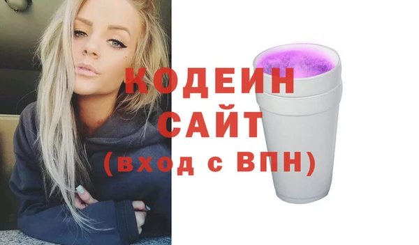 сатива Инта
