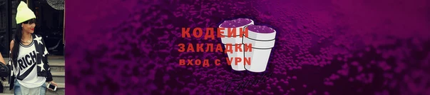 сатива Инта