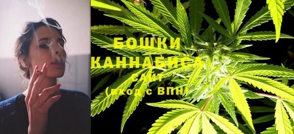 индика Каменногорск