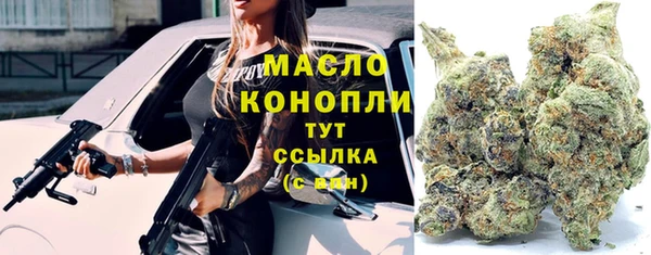 СК Зерноград