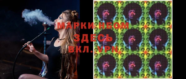 дурь Инсар