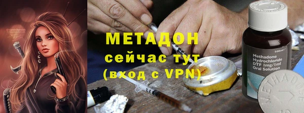 индика Каменногорск