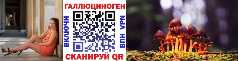 Галлюциногенные грибы Psilocybe  Купить  Губаха 